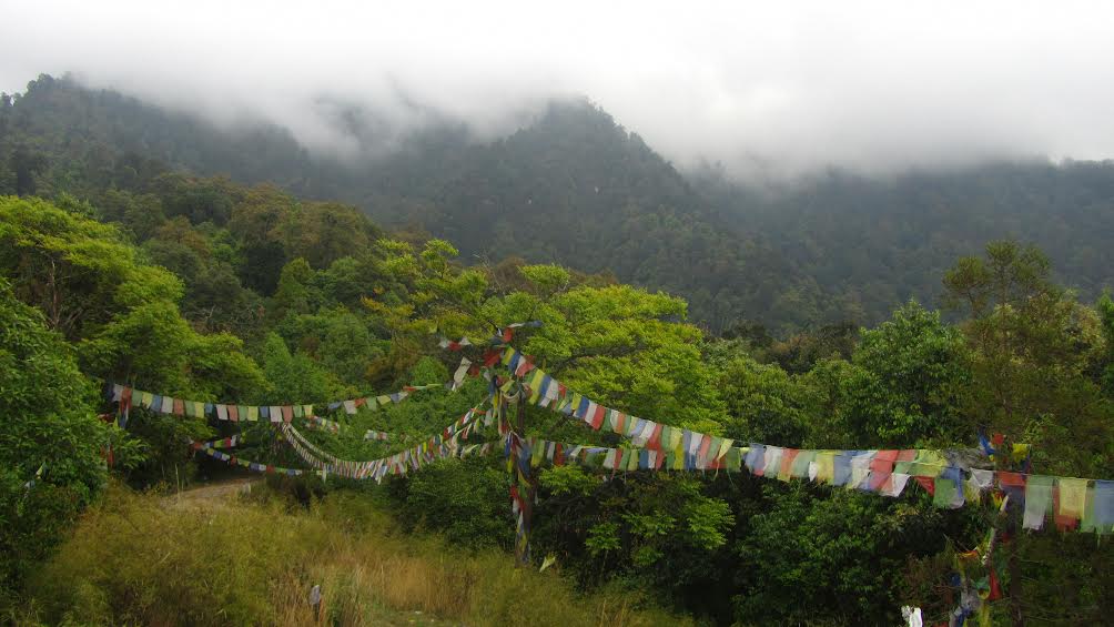 prayerflags